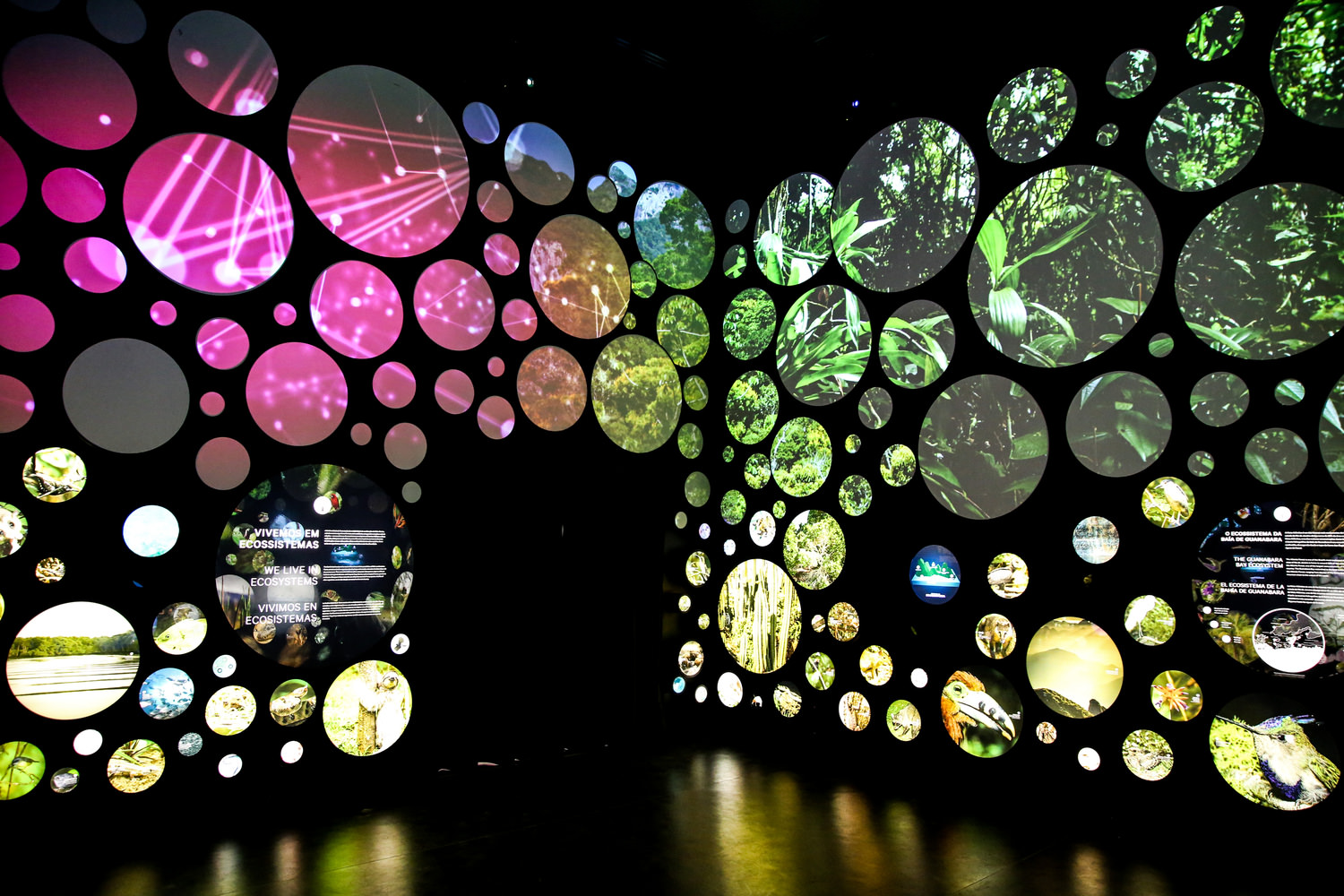 Museum Of Tomorrow Santiago Calatrava - The Museum of Tomorrow in Rio de Janeiro, by Santiago Calatrava., 11 of 17