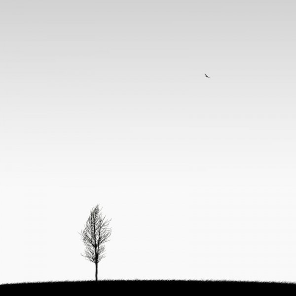 Black and White Photos by Hossein Zare