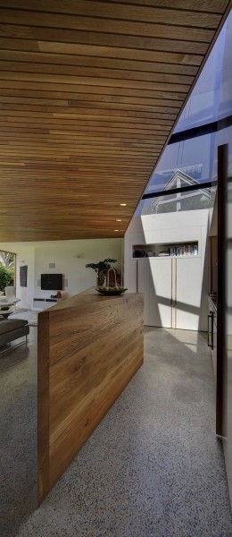 Balmain house by Fox Johnston architects 3