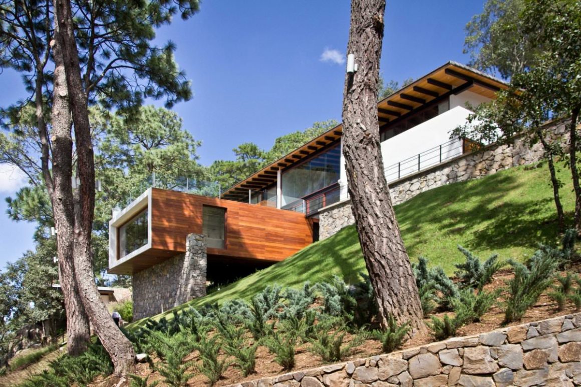 The Forest House in Mexico by EMA