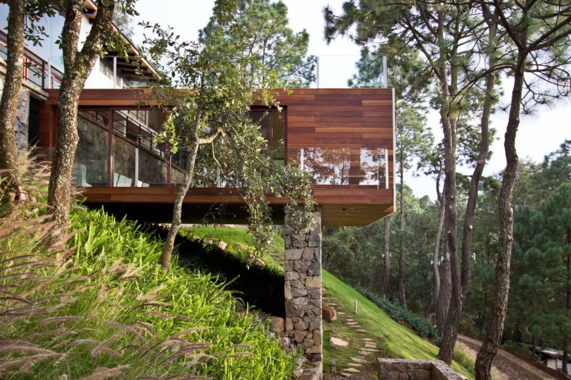 The Forest House in Mexico by EMA 2