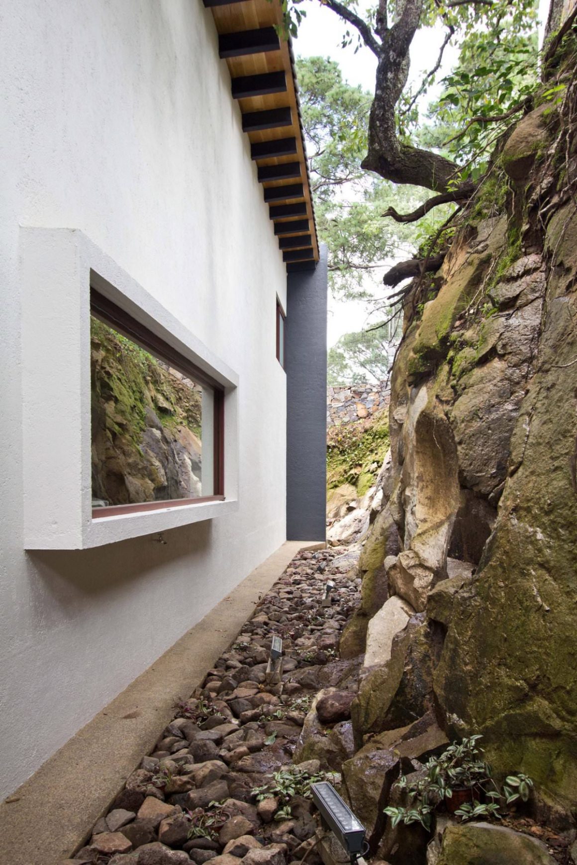 The Forest House in Mexico by EMA 5