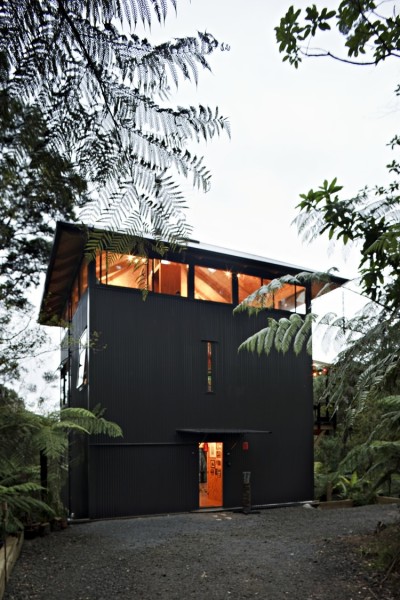 Titirangi House in the trees by Mercer and Mercer