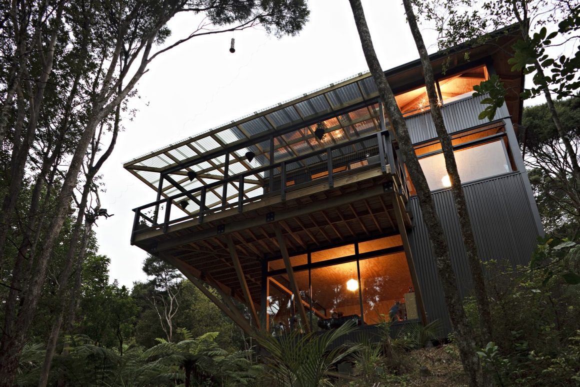 Titirangi House in the trees by Mercer and Mercer 2