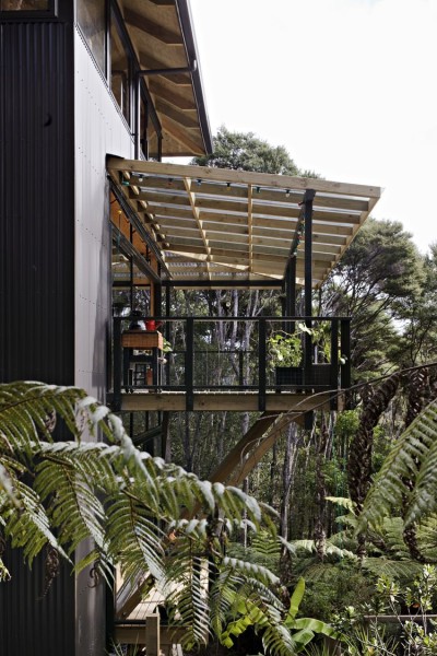 Titirangi House in the trees by Mercer and Mercer 4