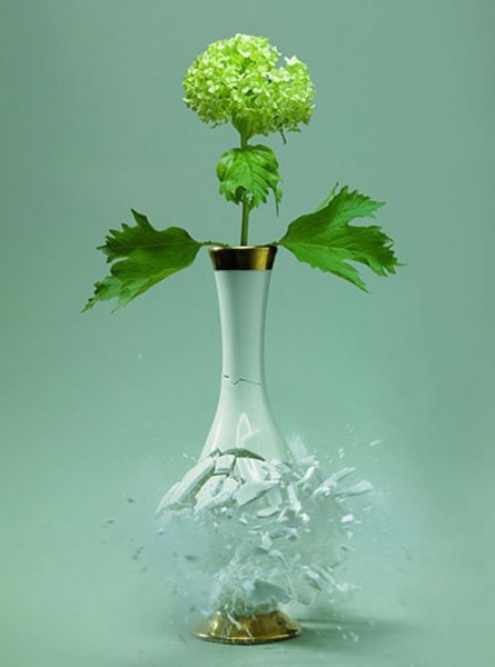 Flowervases by Martin Klimas