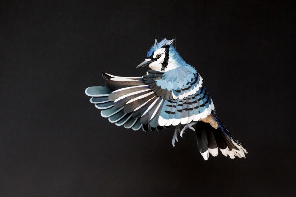 Paper Bird Art by Diana Beltran Herrera