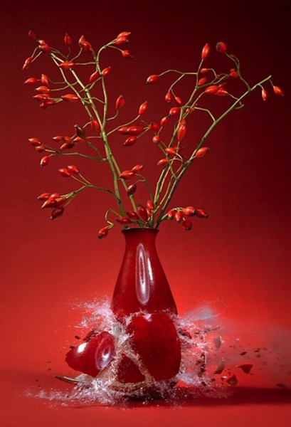 Flowervases by Martin Klimas 3