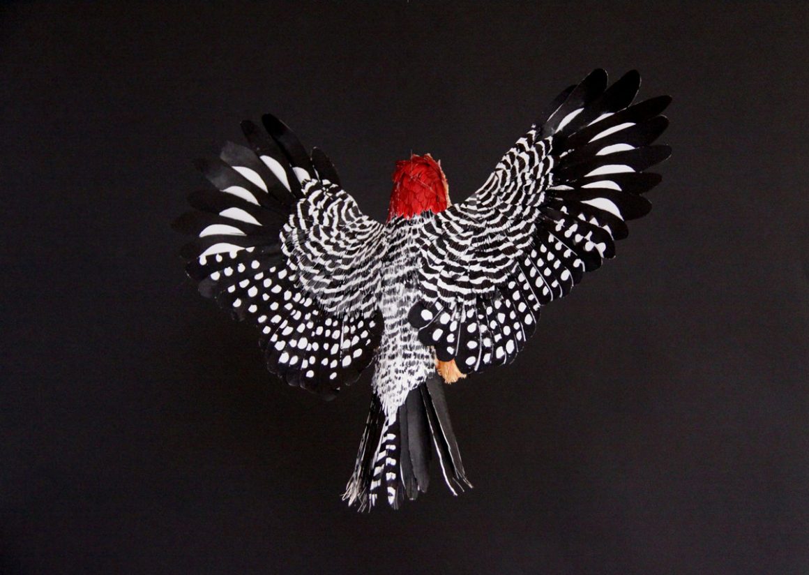 Paper Bird Art by Diana Beltran Herrera 7