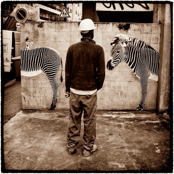 Urban Safari in the streets of Paris by Sophie Photographe 14