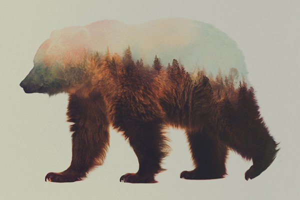 Double Exposure Animal Portraits by Andreas Lie