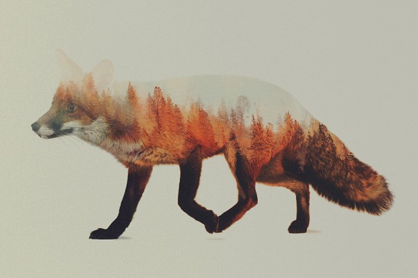 Double Exposure Animal Portraits by Andreas Lie 3