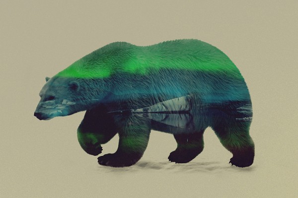 Double Exposure Animal Portraits by Andreas Lie 4